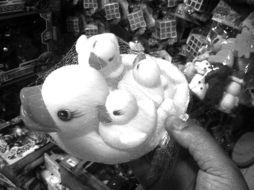 国产三级黄,揭秘我国影视产业的独特魅力